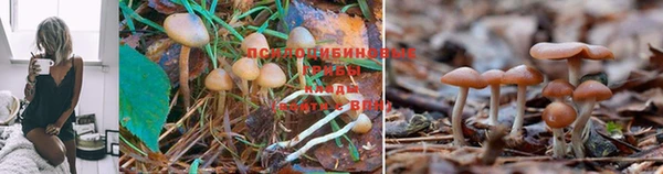 альфа пвп VHQ Богородицк