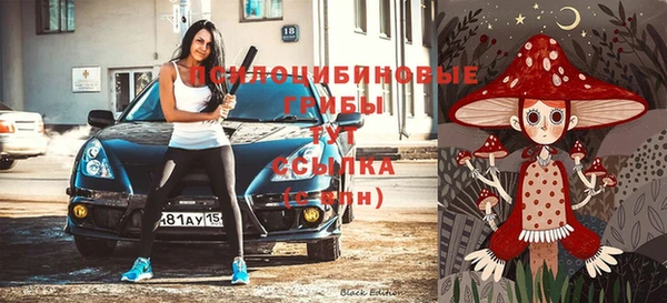 стаф Новозыбков