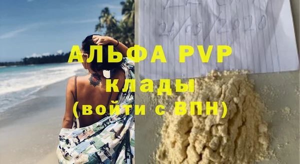 индика Баксан