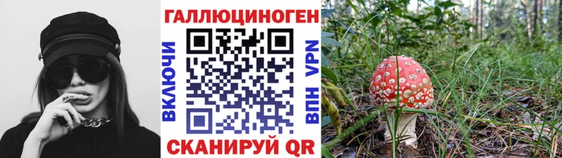 Псилоцибиновые грибы Psilocybe дарк нет какой сайт Высоковск